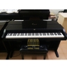 Piano điện Korg C-26
