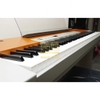 Đàn Piano điện Yamaha P-120