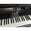Đàn organ Casio CTK 3400