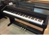 Đàn piano điện Kawai PW3500