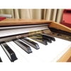 Đàn piano điện Casio PX-800