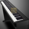 Piano điện Casio CDP-S100