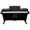 Piano điện Columbia EP-930