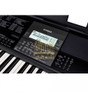 Đàn organ Casio CT-X800