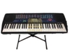 Đàn organ Casio CTK495