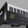 Piano điện Yamaha P-515