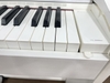 Đàn piano điện Casio PX-2000 GP