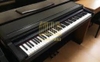 Đàn piano điện Kawai PW300