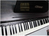 Đàn Piano Điện Casio VJ-201
