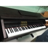 Đàn Piano điện Kawai RT-1