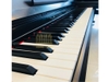 Đàn piano điện Kawai LS-1
