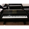 Piano điện Korg C-5000