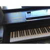 Đàn Piano điện Yamaha Clavinova CLP-511