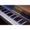 Piano điện Yamaha P-121