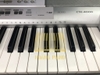 Đàn organ Casio CTK4000