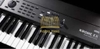 Đàn organ Korg Krome EX