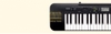 Đàn organ Casio CTK245