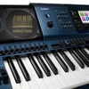 Đàn organ Casio MZ-X500