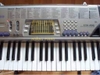 Đàn organ Casio CTK496