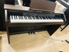 Đàn Piano Điện Casio Px1500GP