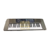 Đàn organ Casio CTK100