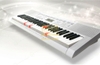 Đàn organ Casio LK-247