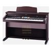 Đàn piano điện Roland KR-7