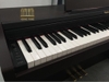 Đàn Piano điện RoLand HP 101