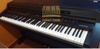 Đàn piano điện Casio CDP-3000