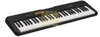 Đàn organ Casio CT-S100