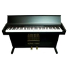 Đàn Piano điện Kawai PN-80