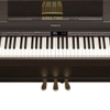 Đàn Piano điện RoLand HP-503