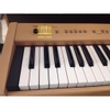 Đàn Piano Điện RoLand F30