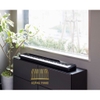 Piano điện Casio PX-S1000