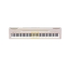 Đàn Piano điện Yamaha P-60