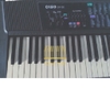 Đàn organ Casio CTK100