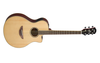 Guitar thùng Yamaha APX600