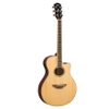 guitar-thung-yamaha-APX600