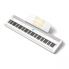 Piano điện Dynatone DPP-510