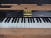 Đàn piano điện Casio PX A800