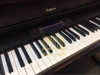 Đàn Piano điện RoLand HP 557
