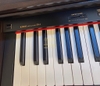 Đàn Piano Điện Kawai PN4