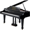 Đàn piano điện Roland RG-3F