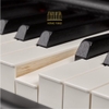 Piano điện Yamaha P-515