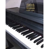 Đàn Piano Điện RoLand HP 3500S