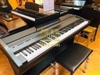Đàn piano điện Kawai PW250