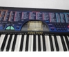 Đàn organ Casio CTK495