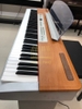 Đàn Piano điện Yamaha P-120