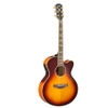 guitar-thung-yamaha-CPX1000