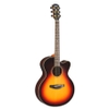 guitar-thung-yamaha-CPX1200II